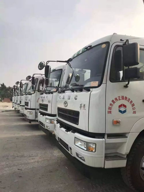 好消息,昊偉集團正強站登上深圳衛(wèi)視深視新聞